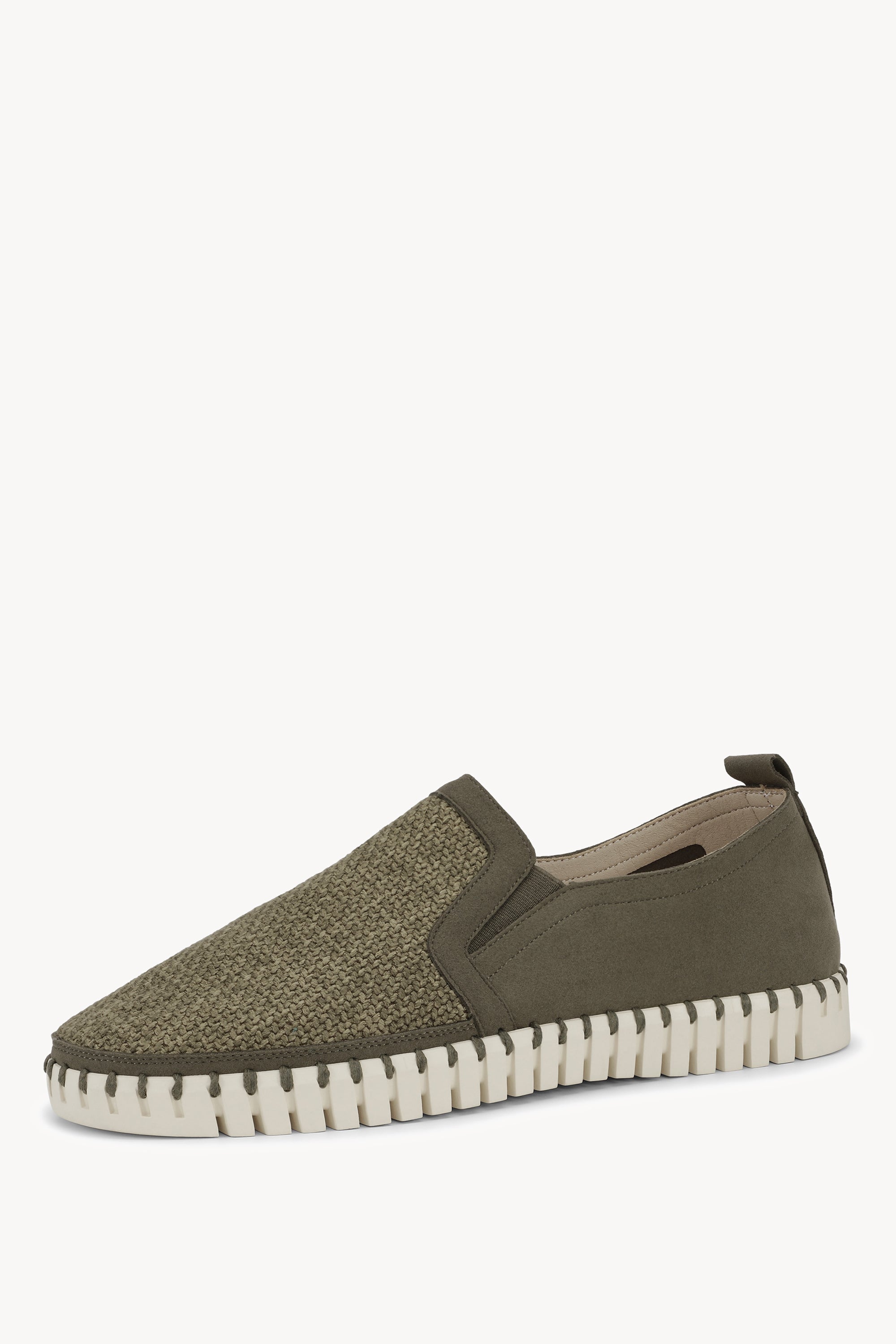 TULIP3885 DEEP OLIVE PEARLED IVORY