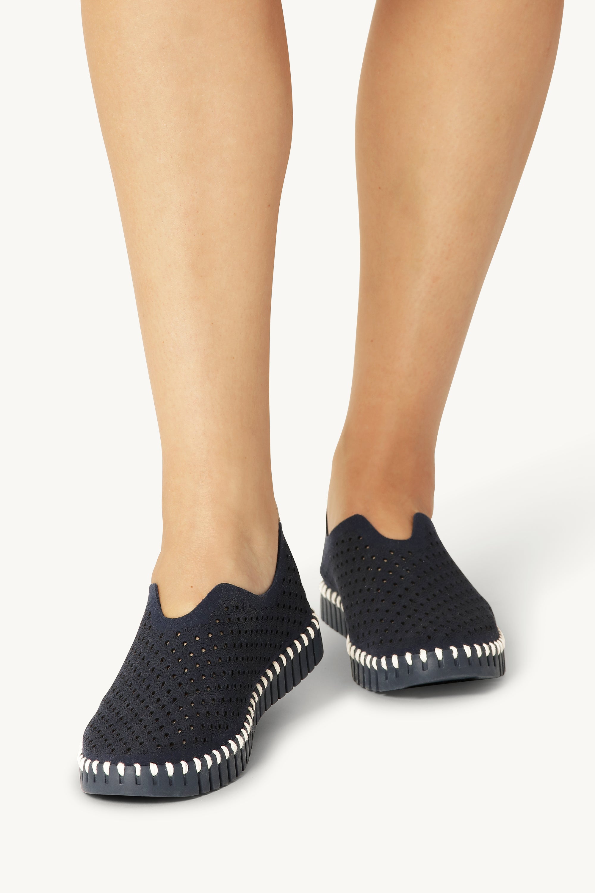 TULIP3977 DARK INDIGO DARK INDIGO