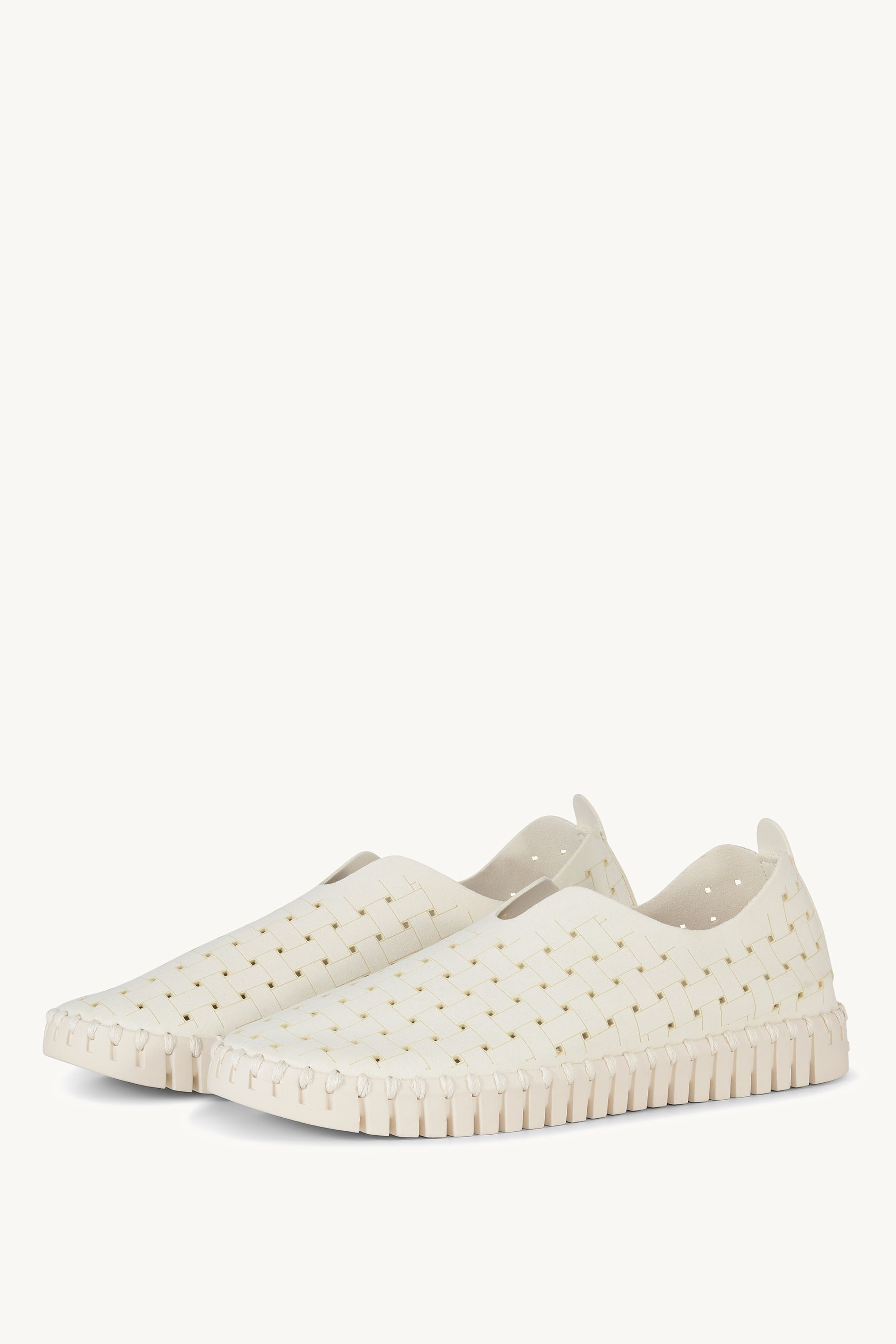 TULIP4030 MILK CREME