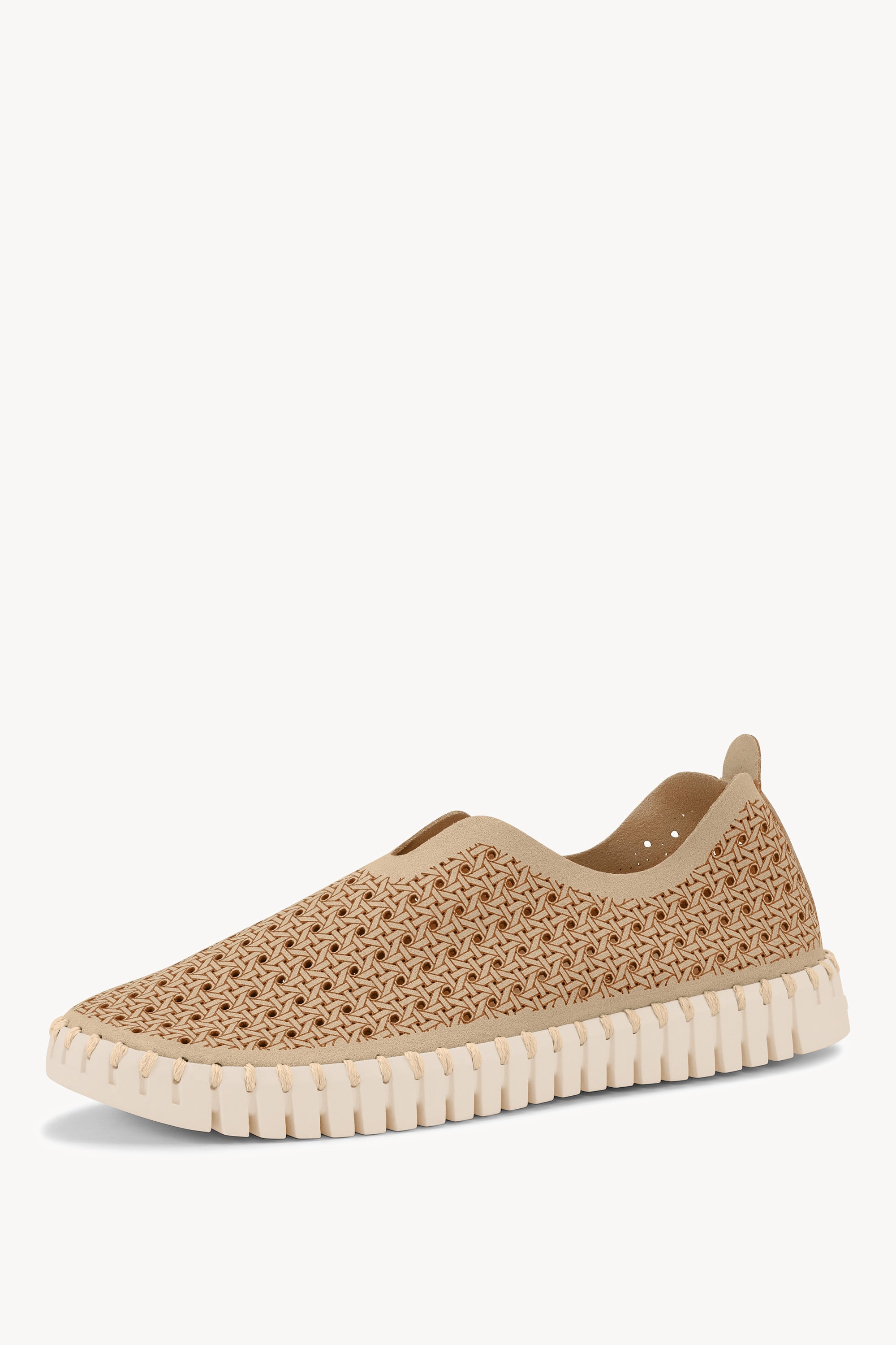 TULIP4031 LATTE PEARLED IVORY