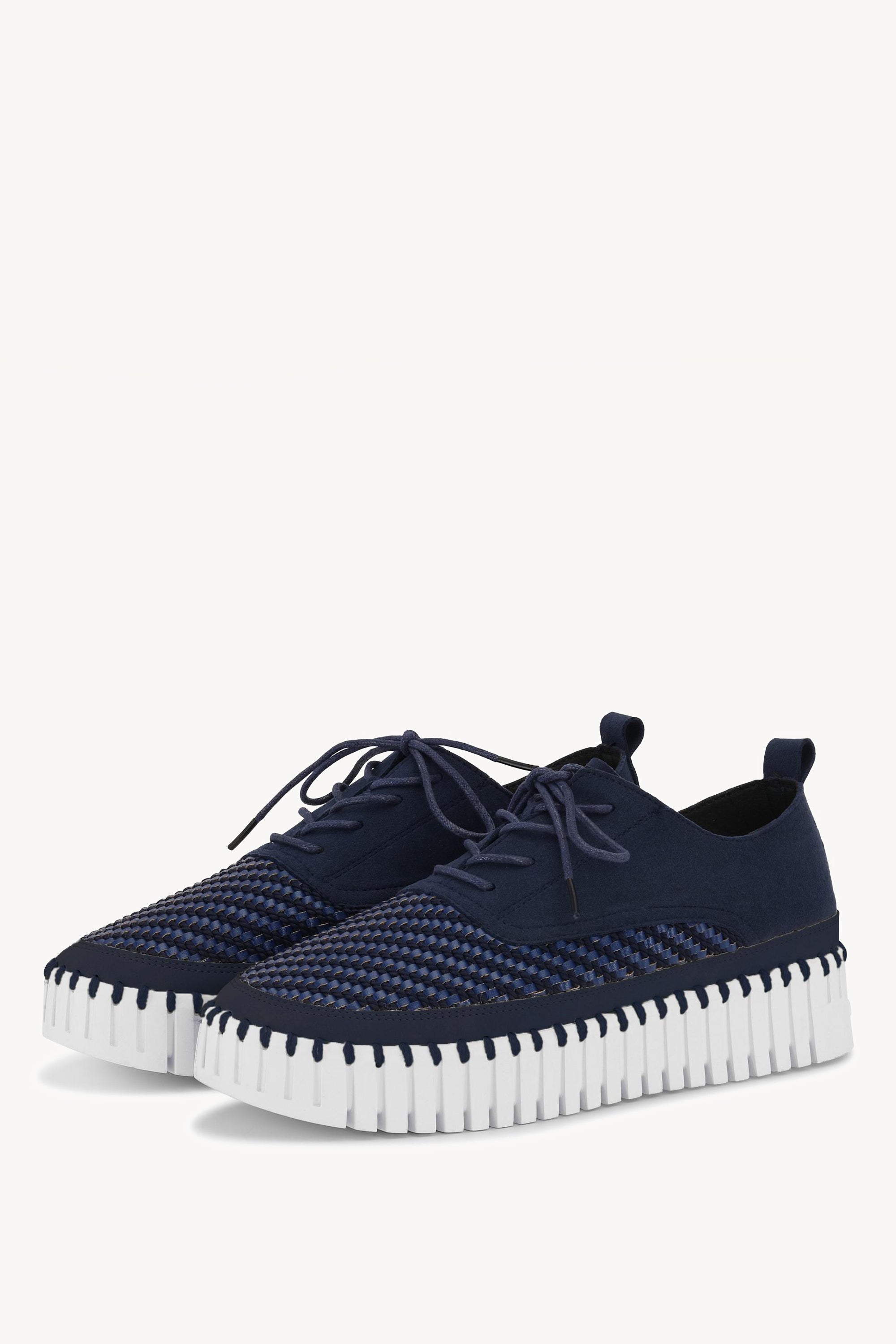 TULIP4094 DARK INDIGO WHITE