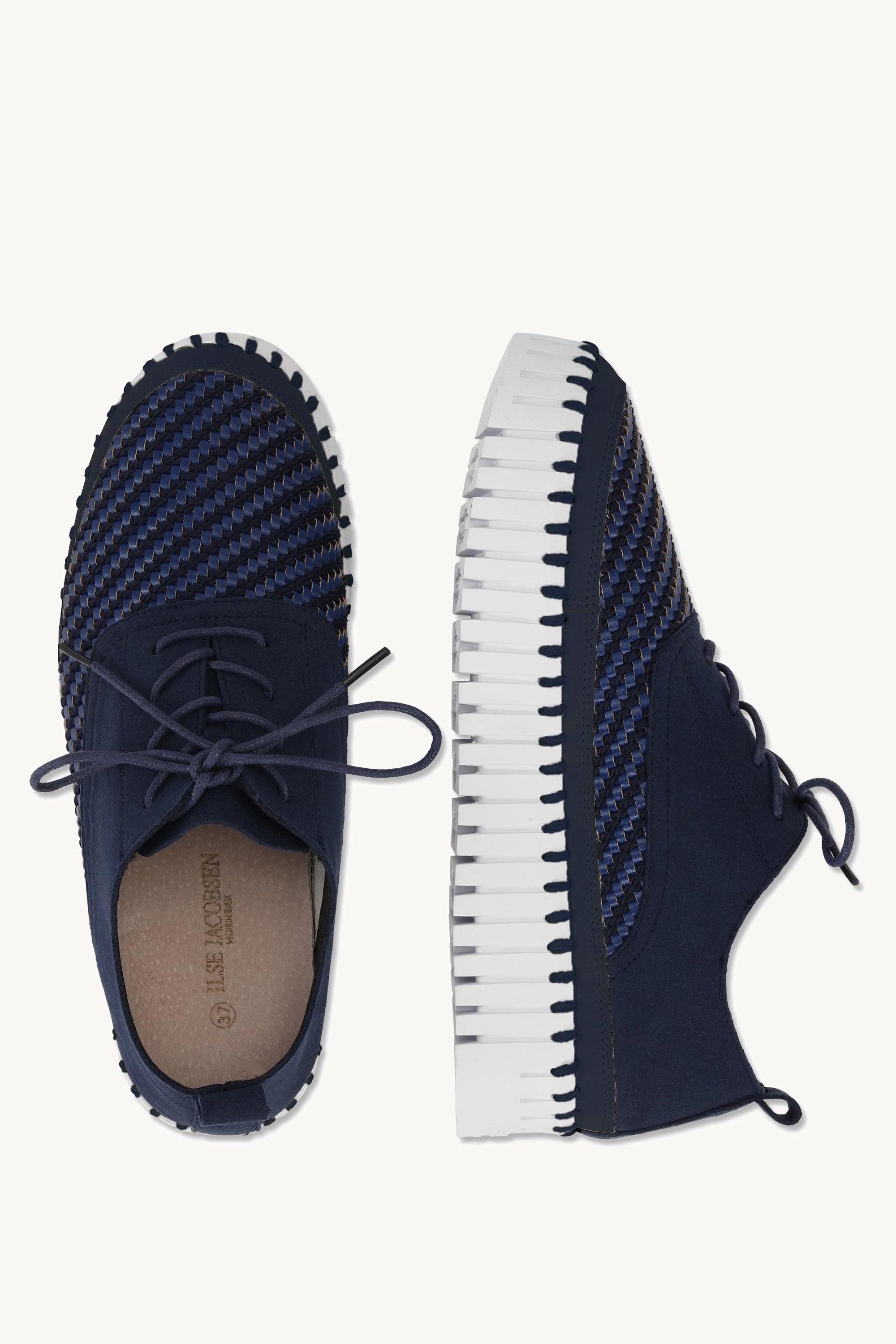TULIP4094 DARK INDIGO WHITE