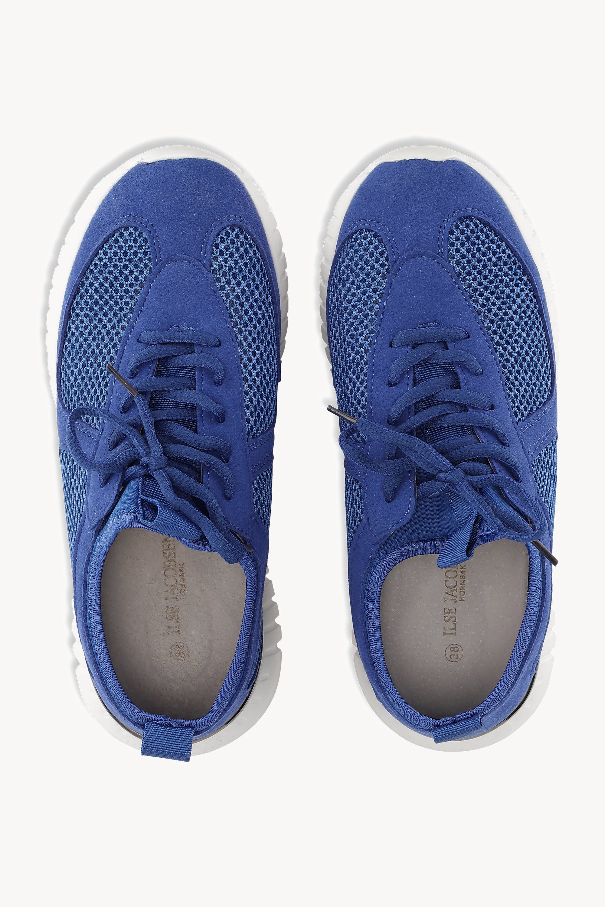 TULIP4175 BLUE WEB