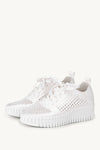 WHITE WHITE
