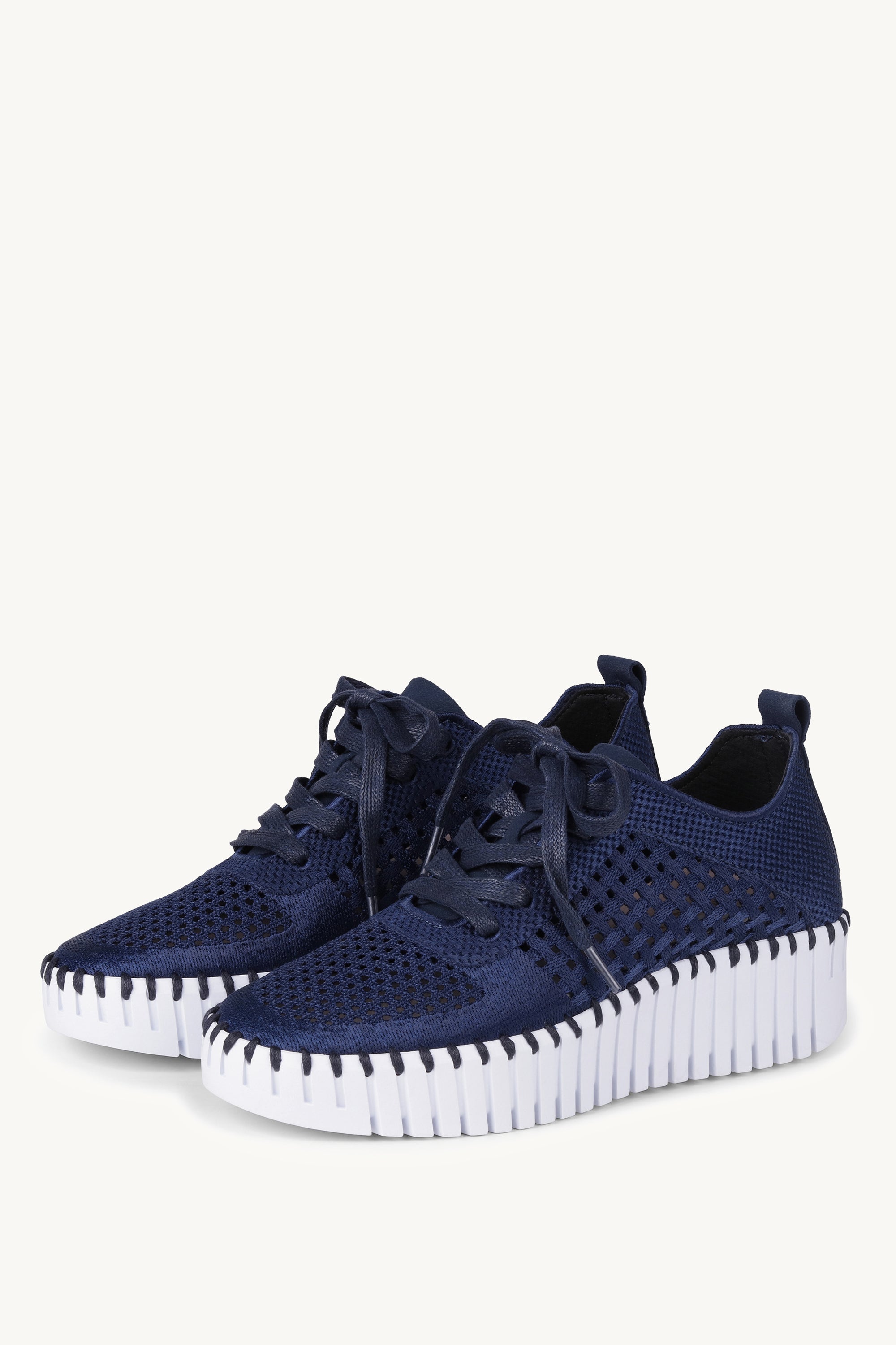 TULIP4271 DARK INDIGO WHITE