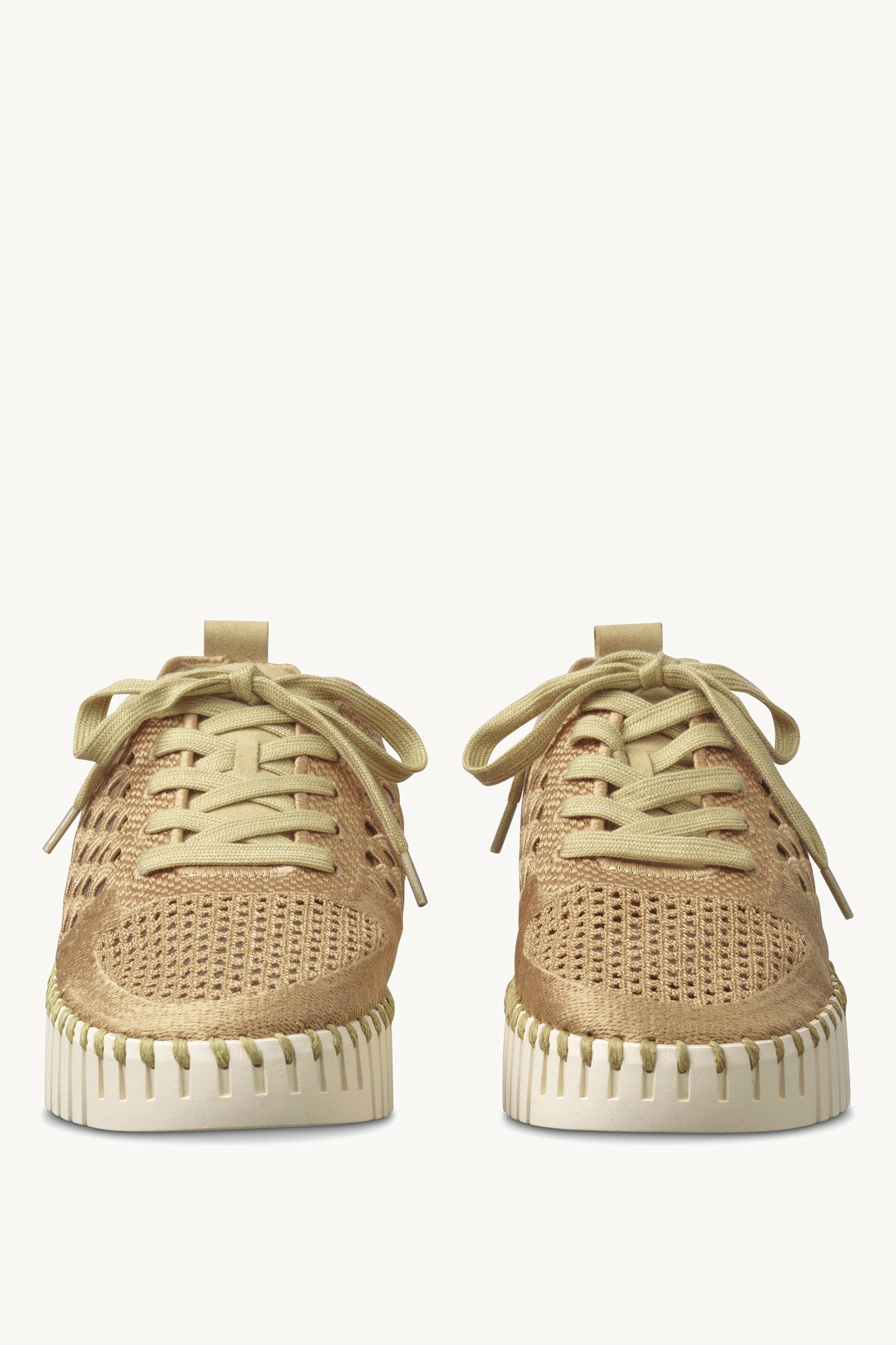 TULIP4273 CASHEW PEARLED IVORY